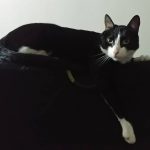 Está bueno este mirador… Aunque me lo cambiaron de lugar