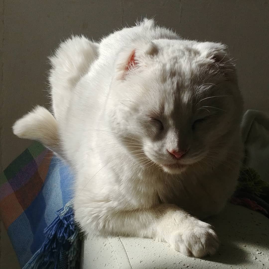 Buen día! El placer del sol matinal