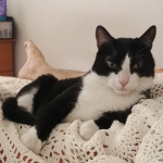 Humano necesita de mis cuidados