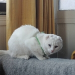 Algo planea humana… Me puso esta cosa extraña ayer