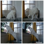 Curioseando… Está rico el aire