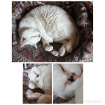 Tengo una herida que me pica, en mi nariz, algo de carcinoma no se qué.