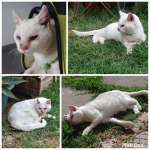 Segundo control, segundo pinchazo 😠.