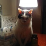 Iluminado!