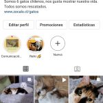 Síguenos en Instagram!